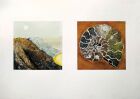 WF9  Mountainside &amp; Ammonite<br />&pound;150.00