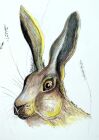 Yvette Gibbons - Country Hare