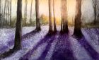 Pru Barlow - Bluebell Woods